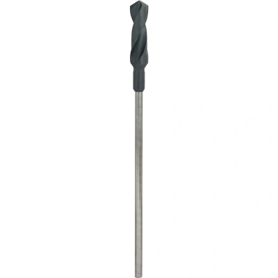 Afbeelding van Bosch Accessories 2608597170 Bekistingsboor 26 mm Gezamenlijke lengte 400 Cilinderschacht 1 stuk(s)