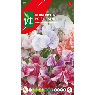 Afbeelding van Reukerwten Streamer Mixed Colours, klimplant met heerlijk geurende bloemen
