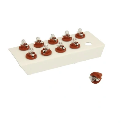 Afbeelding van Gloeilamp BX8.5d 24V 1,2W Osram Original 10 Stuks