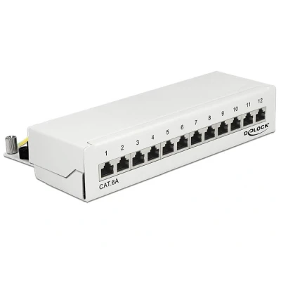 Afbeelding van Delock Desktop Patchpanel 12 Poort Cat.6A weiß
