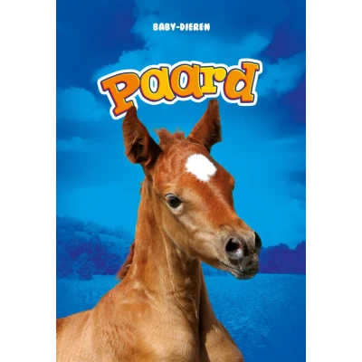 Afbeelding van Paard