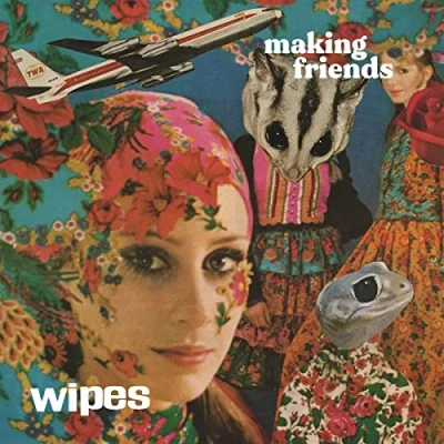 Afbeelding van Wipes Making Friends (CD)