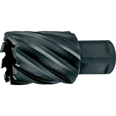 Afbeelding van Phantom Kernboor Hss Co 20X25mm Nitride
