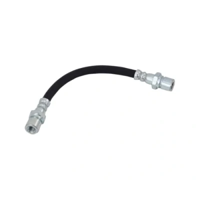 Afbeelding van Delphi Diesel Remslang LH2813