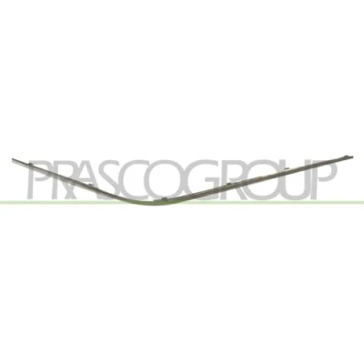 Afbeelding van Sier / beschermingspaneel, bumper PRASCO ME0371247