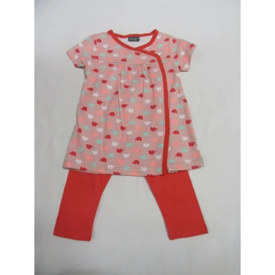 Afbeelding van wiplala, kledingset, kleedje+ legging , rose olifant