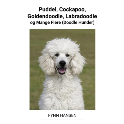 Afbeelding van Puddel, Cockapoo, Goldendoodle, Labradoodle og Mange Flere (Doodle Hunder)