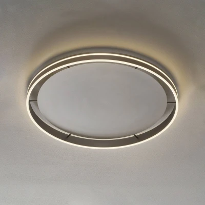 Afbeelding van Paul Neuhaus Smart plafondlamp Q Vito Ø 80cm grijs 8418 55