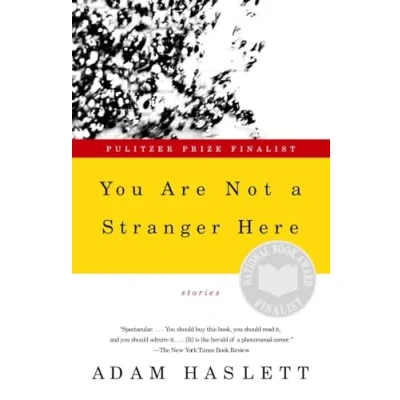 Afbeelding van You Are Not A Stranger Here