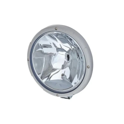 Afbeelding van Hella Rallye 3003 Halogeen Verstraler Zilver Blauw + Stadslicht 1F8 009 797 031