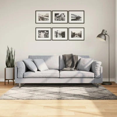 Afbeelding van Vloerkleed shaggy hoogpolig modern 120x170cm beige en antraciet