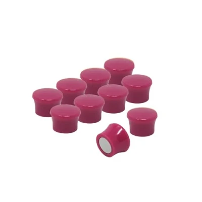 Afbeelding van first4magnets™ Kleine roze high power memo board magneet kantoor &amp; koelkast (17,5 mm diameter x 12,3 hoog) (1 verpakking van 10), metaal, zilver, 25 10 3 cm