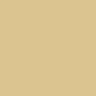 Afbeelding van plottiX Perm. Vinylfolie 31,5cm x 1m beige