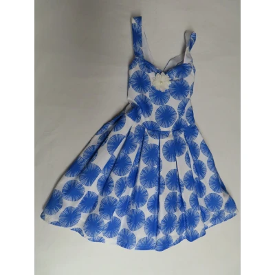 Afbeelding van Jurk Feestkleedje Blauw / wit Gevoerd 4 jaar 104