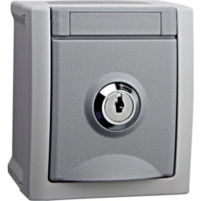 Afbeelding van VIKO 90591043 DE Pacific Wandcontactdoos met randaarde afsluitbaar spatwaterdicht Grijs