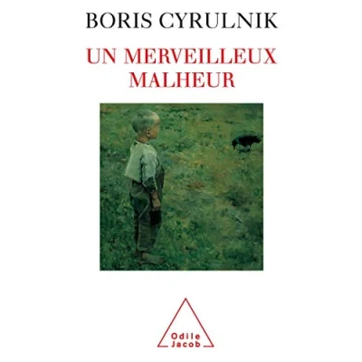 Afbeelding van Un merveilleux malheur