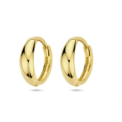 Afbeelding van 14K geelgoud klapoorringen 4027989
