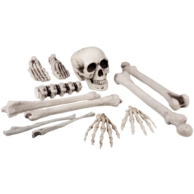 Afbeelding van Boland 12 stuks Doodshoofd en beenderen (40 cm) Piraten;Horror Piraten Horror