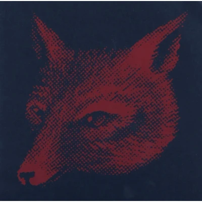 Afbeelding van Young Widows Future Heart (7&quot; Vinyl Single)