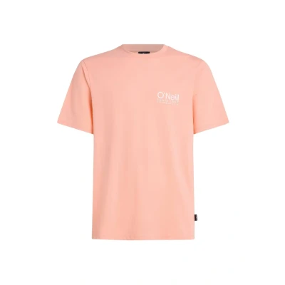 Afbeelding van O&#039;Neill CALI LOGO Tshirt print, Heren, Maat: XS, Coral pop