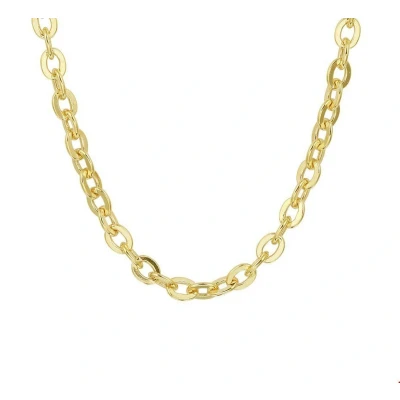 Afbeelding van Ketting Zilgold Ankerschakel geelgoud zilveren kern 5 mm 45 cm