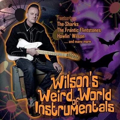 Afbeelding van Alan Wilson Wilson&#039;s Weird World Of Instrumentals (CD)