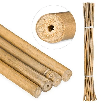 Afbeelding van bamboe stokken set van 25 105 cm plantensteun