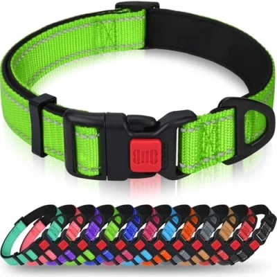 Afbeelding van Taglory Reflecterende nylon hondenhalsband met veiligheidsgesp, verstelbare halsband, zachte neopreen voering, voor middelgrote honden, groen
