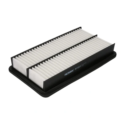 Afbeelding van Filtron Luchtfilter AP 113/1