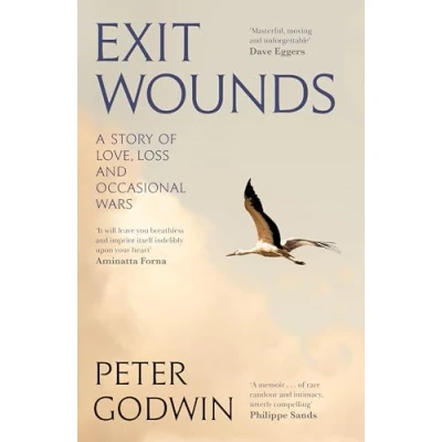 Afbeelding van Exit Wounds