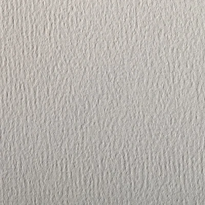 Afbeelding van Clairefontaine Ref 90881C Etival Gekleurd Graineerd Tekening Papier (Verpakking van 5 Vellen) A4 (29,7 x 21cm) 160gsm Cellulose Art Lichtgrijs Zuurvrij, pH Neutraal