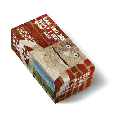 Afbeelding van Can you see what I memory game (Kaartspellen)