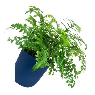 Afbeelding van QUVIO Wand bloempot plastic Donker Blauw POPPY