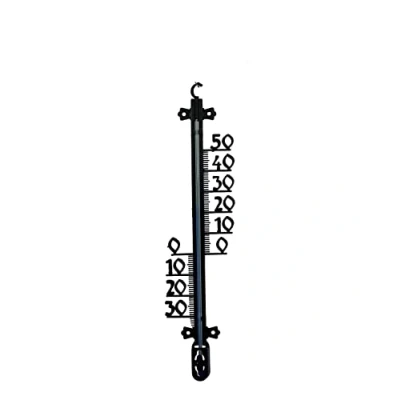 Afbeelding van Talen Tools Buitenthermometer Kunststof 65 cm