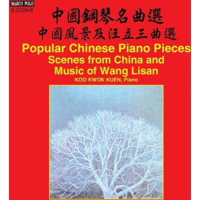 Afbeelding van Koo Kwok Kuen Scenes From China Music Of Wang Lisan (CD)