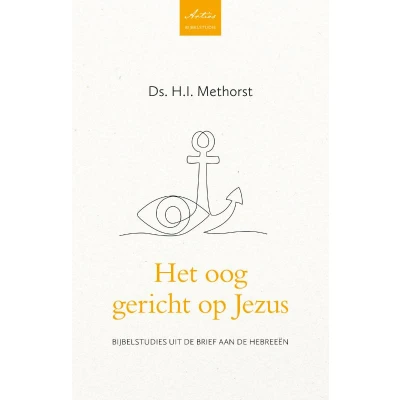 Afbeelding van Het oog gericht op Jezus (Paperback)
