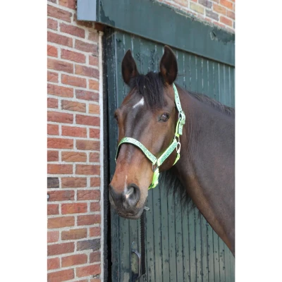 Afbeelding van MHS Halster &quot;Neon Squares&quot; Mini Groen