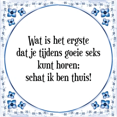 Afbeelding van Wat is het ergste dat je tijdens goeie seks kunt Tegeltje + Spreuk