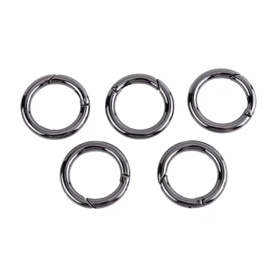 Afbeelding van 5 stks/zak Zinklegering Ronde Karabijnhaak Poortringen Lente O ringen Snap Clip Sleutelhanger voor Tassen, Portemonnees, Sleutelhanger, Kamperen Wandelen