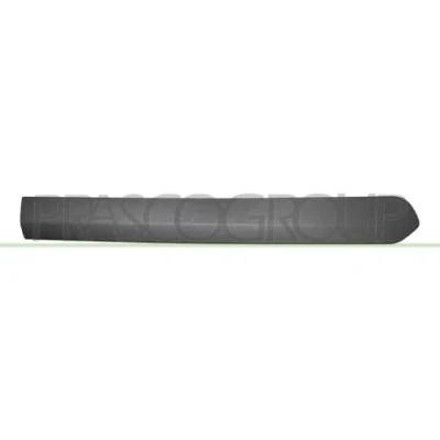 Afbeelding van Sier / beschermingspaneel, deur PRASCO FT9101453