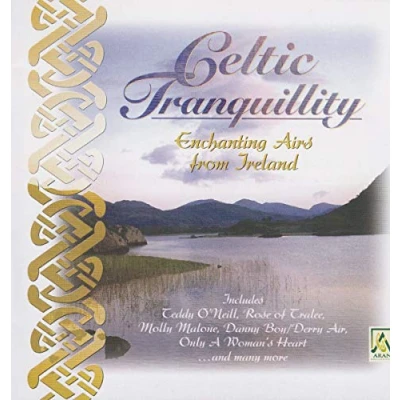 Afbeelding van Various Artists Celtic Tranquility. Enchanting Arts (CD)