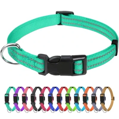 Afbeelding van TagMe Reflecterende nylon hondenhalsbanden, verstelbare klassieke halsband met snelsluiting gesp voor puppy, turquoise, 1 cm breedte