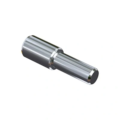 Afbeelding van 40 stuks plankdragers, 3 mm, Made in Germany, plankstiften, plankhouders