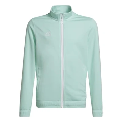 Afbeelding van adidas Uniseks Kind Entrada 22 Track Jacket, clear mint, 11 12 Years