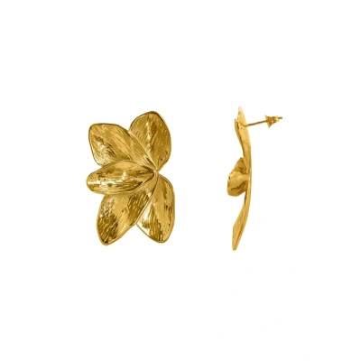 Afbeelding van Heideman Stecker Silva Oorbellen, Dames, Maat: One Size, Goldfarbend
