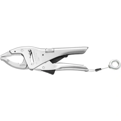 Afbeelding van Facom sls griptang lange bekken 501ASLS