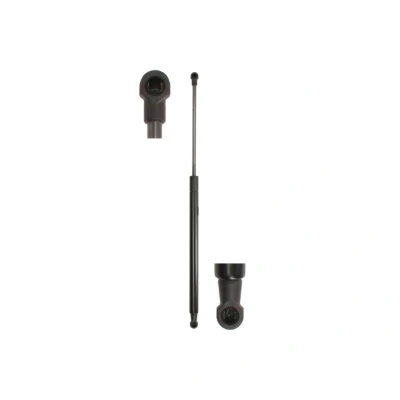 Afbeelding van Stabilus Gasveer 853474
