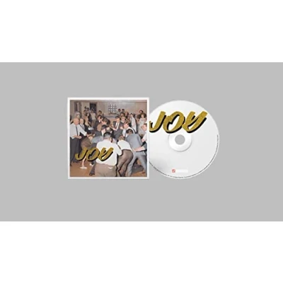 Afbeelding van Idles Joy As An Act Of Resistance. (CD)