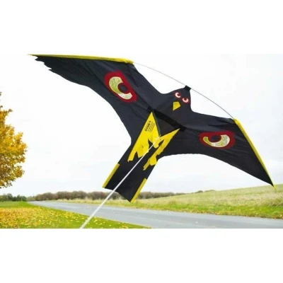 Afbeelding van Vogelverjager Kite hawk