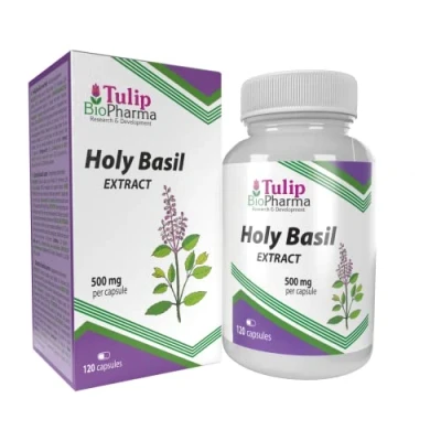 Afbeelding van Heilig Basilicum 5000mg Equivalent (500mg van 10:1 Extract) 120 Capsules, Hoge Sterkte, Gluten , GMO vrij, Geen Vulstoffen